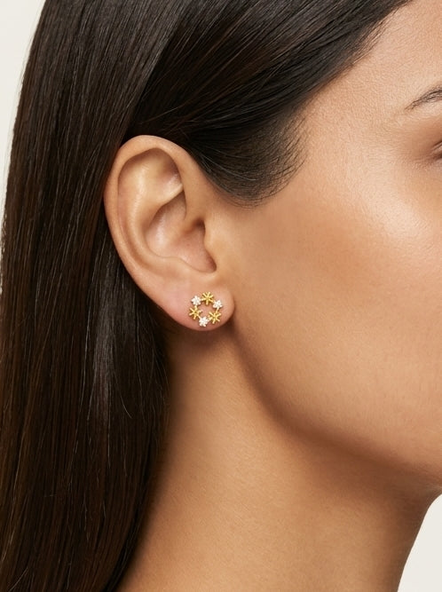 Rose Petal Crown Studs